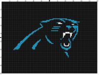 Carolina Panthers