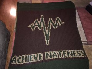 Achieve Nateness Blanket