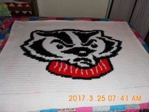 Badgers Blanket